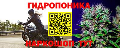 прущие крисы Бузулук