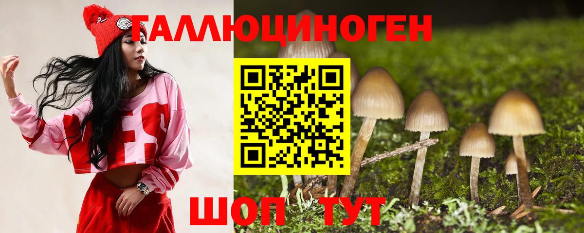 Псилоцибиновые грибы GOLDEN TEACHER  Вход с VPN  Геленджик 