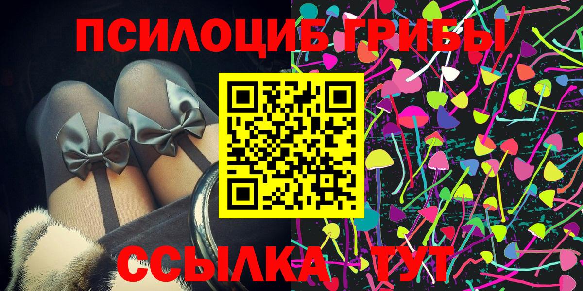 Галлюциногенные грибы Cubensis Геленджик
